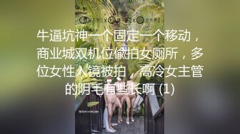 牛逼坑神一个固定一个移动，商业城双机位偸拍女厕所，多位女性入镜被拍，高冷女主管的阴毛有些长啊 (1)