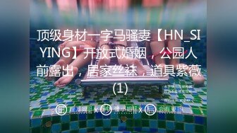 顶级身材一字马骚妻【HN_SIYING】开放式婚姻，公园人前露出，居家丝袜，道具紫薇 (1)