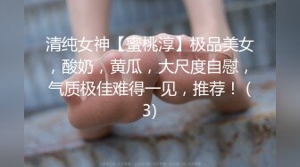 清纯女神【蜜桃淳】极品美女，酸奶，黄瓜，大尺度自慰，气质极佳难得一见，推荐！ (3)