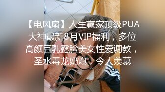 【电风扇】人生赢家顶级PUA大神最新8月VIP福利，多位高颜巨乳露脸美女性爱调教，圣水毒龙奶炮，令人羡慕