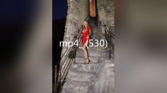 mp4_ (530)