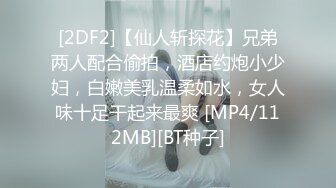 [2DF2]【仙人斩探花】兄弟两人配合偷拍，酒店约炮小少妇，白嫩美乳温柔如水，女人味十足干起来最爽 [MP4/112MB][BT种子]