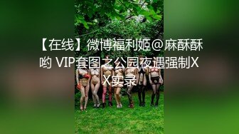 【在线】微博福利姬@麻酥酥哟 VIP套图之公园夜遇强制XX实录