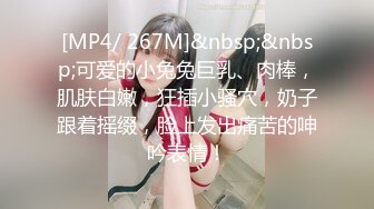 [MP4/ 267M]&nbsp;&nbsp;可爱的小兔兔巨乳、肉棒，肌肤白嫩，狂插小骚穴，奶子跟着摇缀，脸上发出痛苦的呻吟表情！