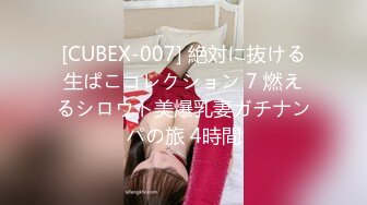 [CUBEX-007] 絶対に抜ける生ぱこコレクション 7 燃えるシロウト美爆乳妻ガチナンパの旅 4時間