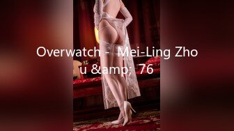 Overwatch -  Mei-Ling Zhou &amp;  76