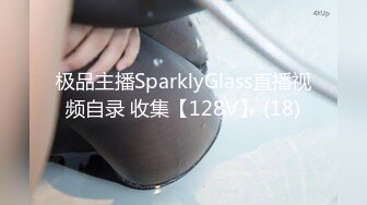 极品主播SparklyGlass直播视频自录 收集【128V】 (18)