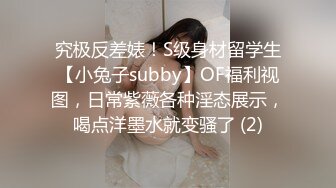 究极反差婊！S级身材留学生【小兔子subby】OF福利视图，日常紫薇各种淫态展示，喝点洋墨水就变骚了 (2)