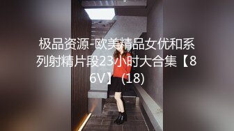 极品资源-欧美精品女优和系列射精片段23小时大合集【86V】 (18)