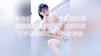 新来的社会小妹，全程露脸满腿纹身跟狼友发骚，大耳环唇钉脐钉看着真骚，互动撩骚