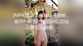 [MP4]苗条大长腿妹子啪啪，拨开内裤舌吻摸逼69口交站立后入骑乘