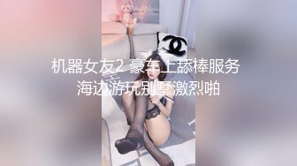 机器女友2 豪车上舔棒服务 海边游玩别墅激烈啪