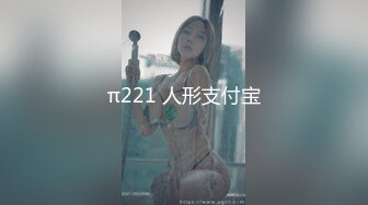 π221 人形支付宝