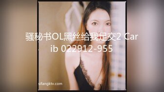 骚秘书OL黑丝给我足交2 Carib 022912-955