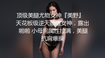 你的女神有钱人的母狗，推特金主【优雅金领S】，有钱又会玩女，各种拜金外围女模臣服屌下，露出调教啪啪让人羡慕 (1)